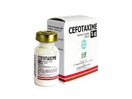 Cefotaxime