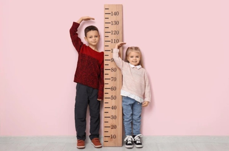 Perawakan Tubuh Tinggi