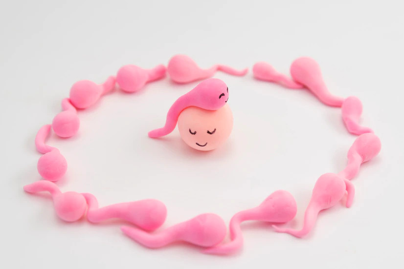 Tes untuk Mengetahui Kesuburan Wanita, Apa Saja?